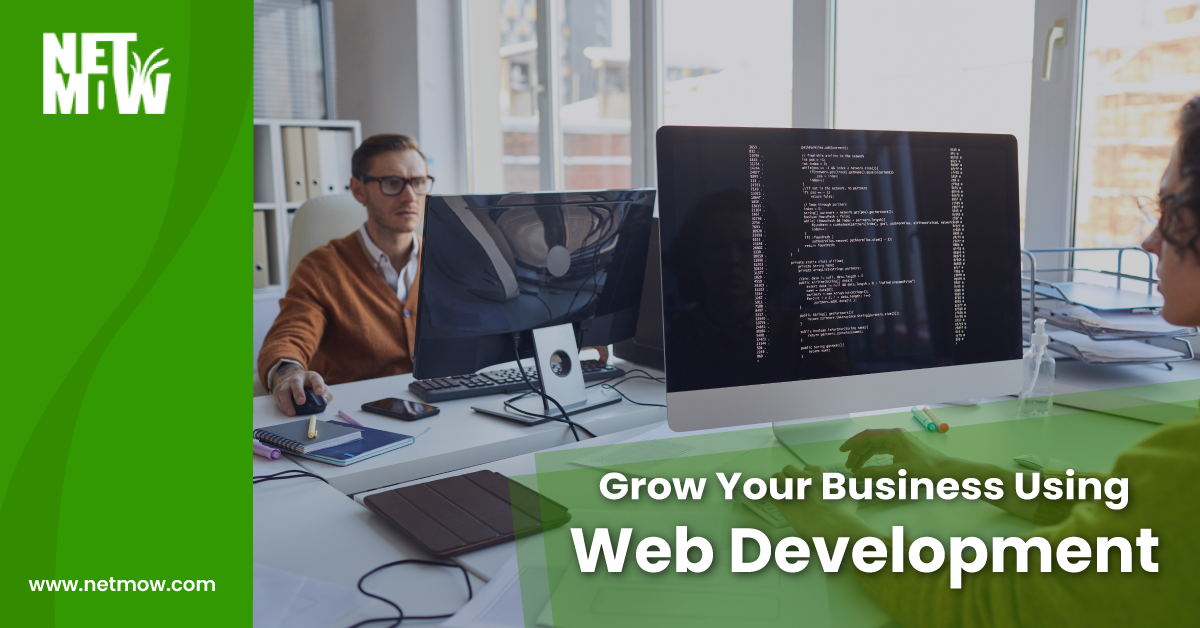 Grow Your Business Using Web Development