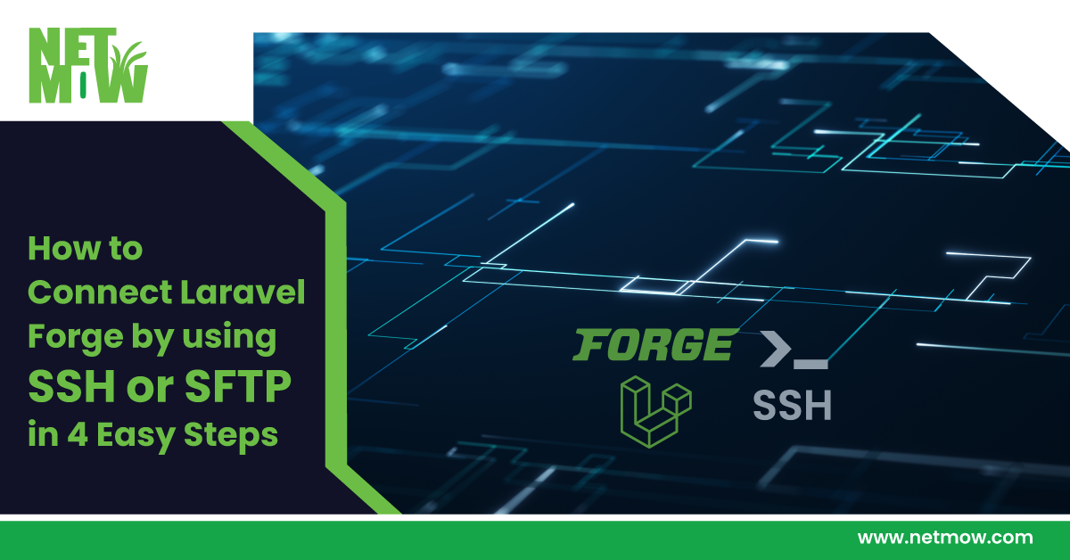 How to Connect Laravel Forge by using SSH or SFTP in 4 Easy Steps